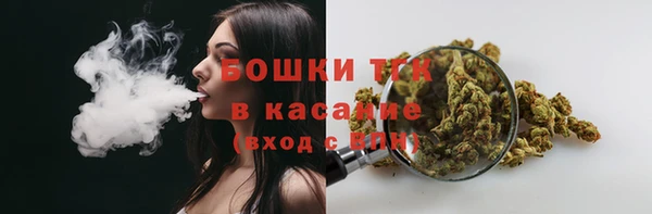 хмурый Абаза