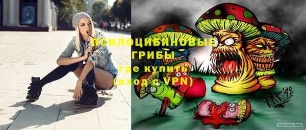 PSILOCYBIN Армянск