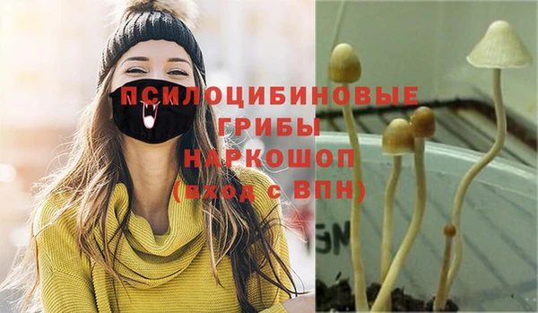 ALPHA PVP Нефтегорск