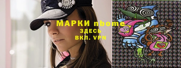 хмурый Абаза
