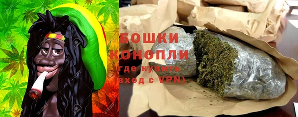 хмурый Абаза